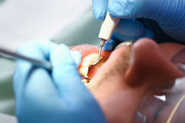 Best Emergency Pediatric Dental Care in Elwood, KS